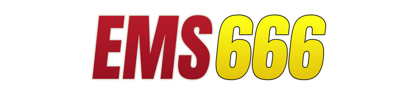 ems666 লোগো
